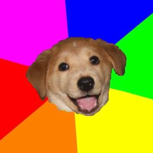 $BOBA Meme Dog